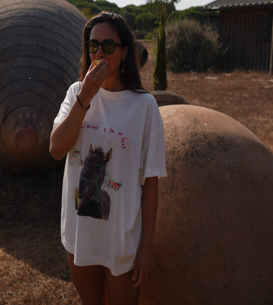 ALL I WANT IS TO BE FREE