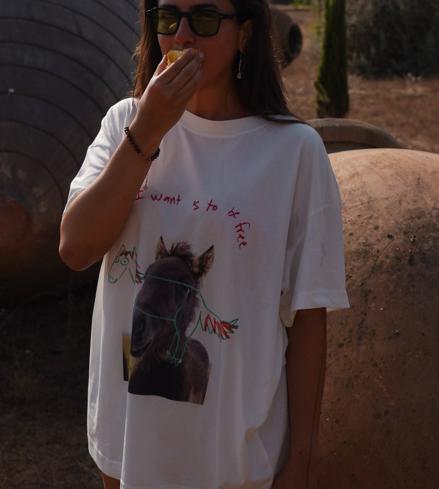 ALL I WANT IS TO BE FREE