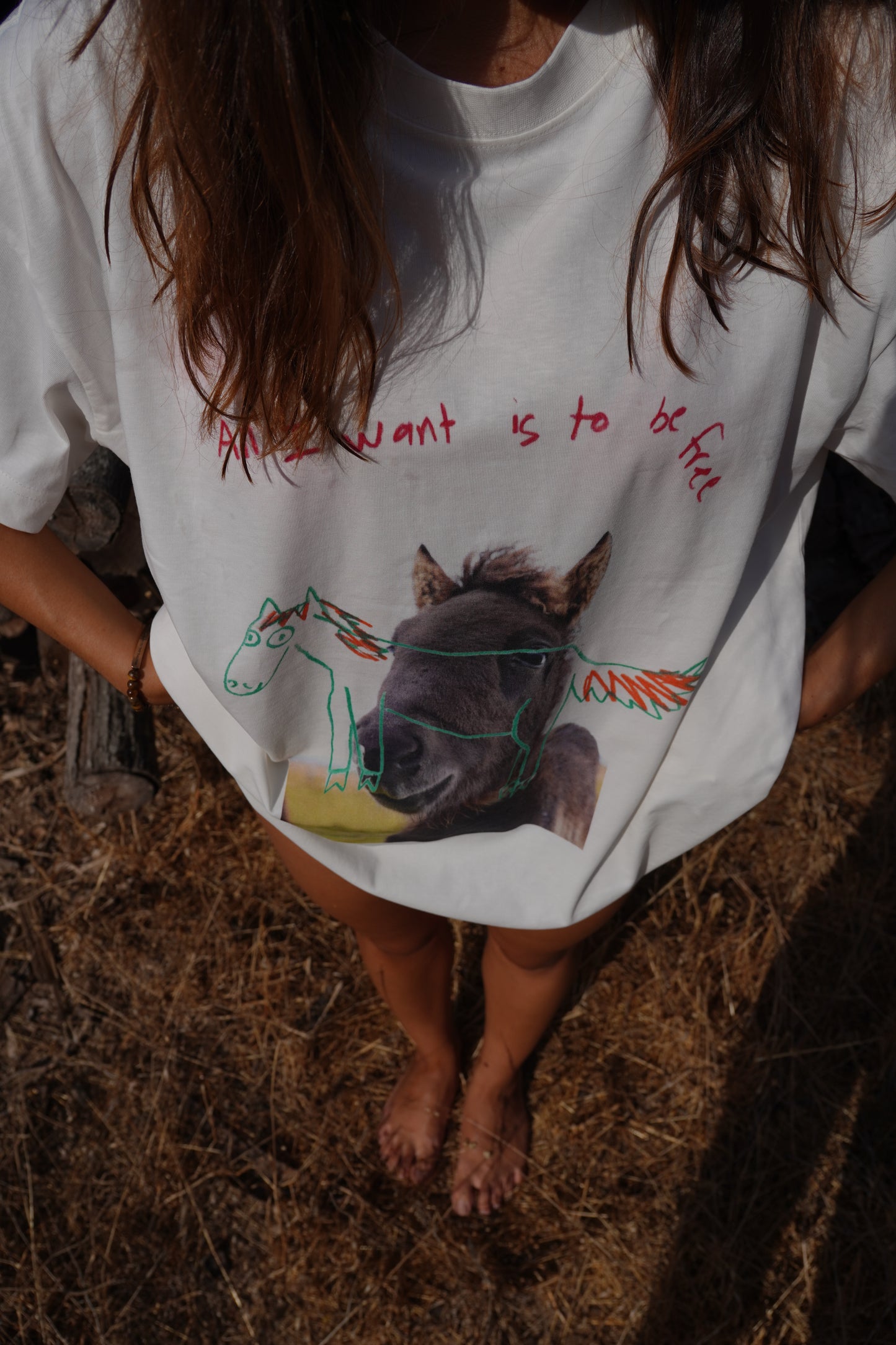 ALL I WANT IS TO BE FREE