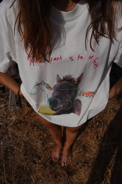 ALL I WANT IS TO BE FREE