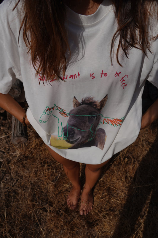 ALL I WANT IS TO BE FREE