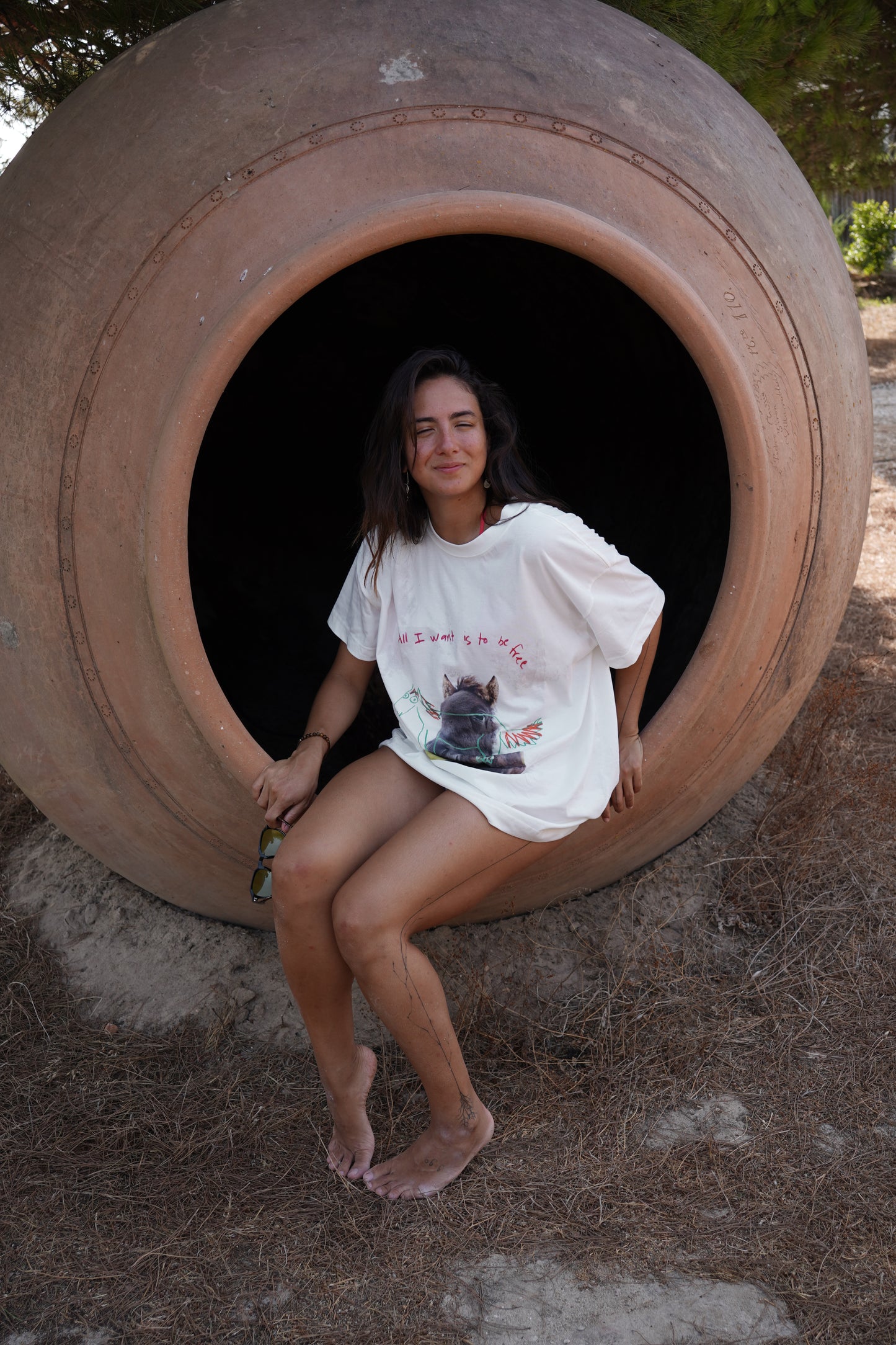 ALL I WANT IS TO BE FREE