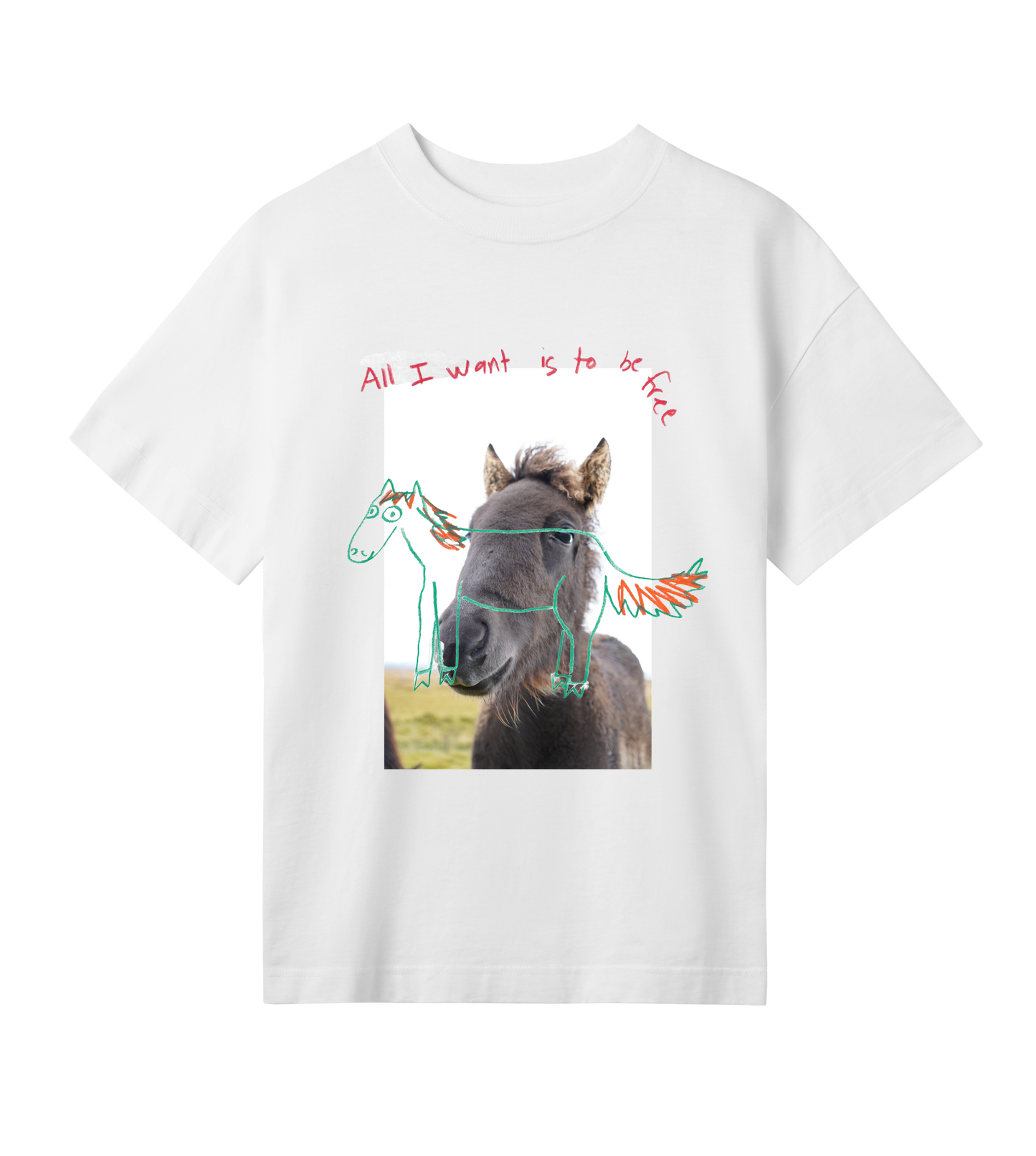 ALL I WANT IS TO BE FREE